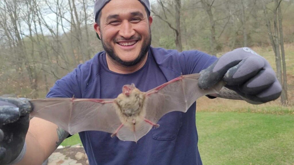 Wildlife Removal Parma